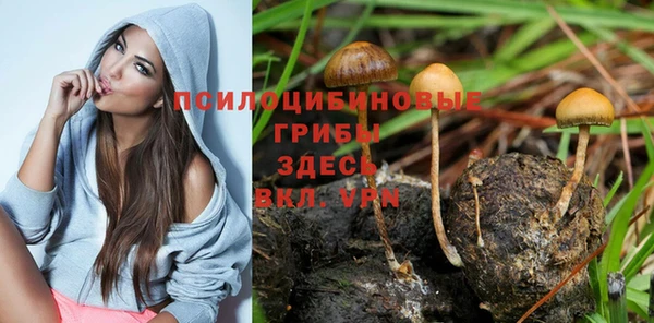 стаф Балабаново