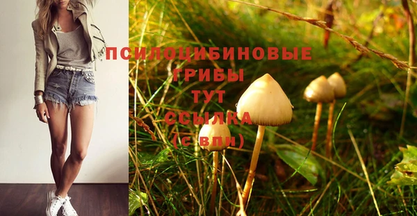 ГАЛЛЮЦИНОГЕННЫЕ ГРИБЫ Баксан