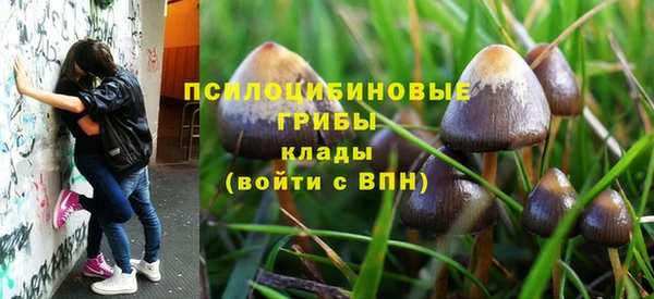 ГАЛЛЮЦИНОГЕННЫЕ ГРИБЫ Баксан