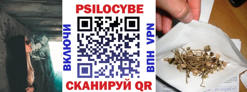 shop формула  Владивосток  Галлюциногенные грибы Cubensis 